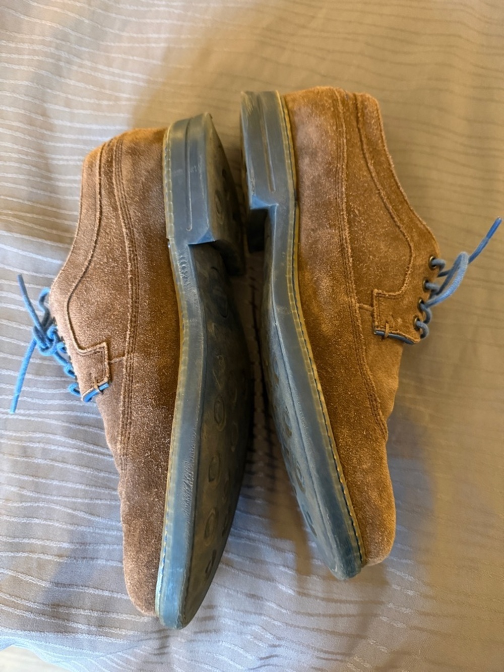 Ted Baker London Brown Suede derby Oxfords with Blue Accents - Picture 4 of 13